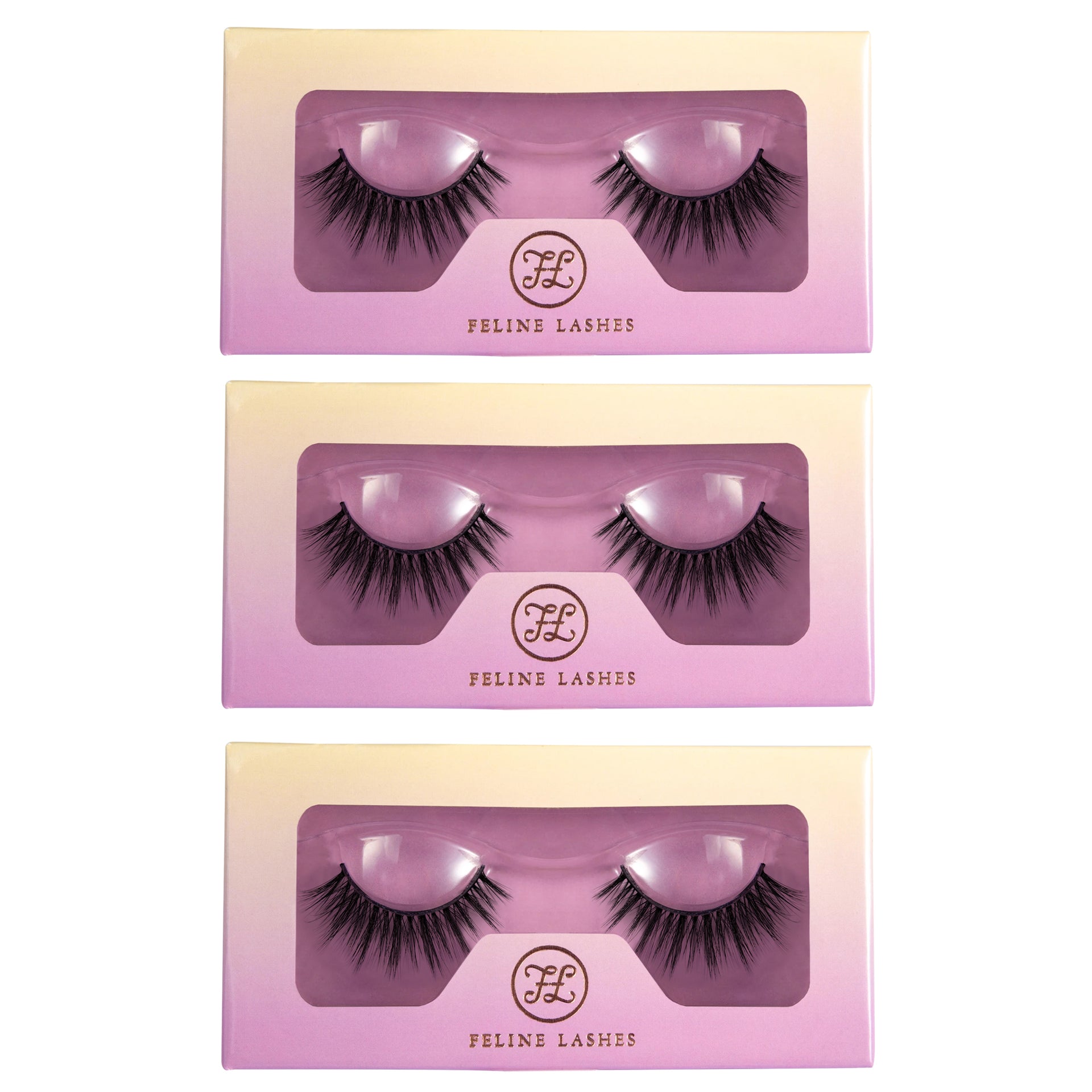 Carton Boxes packaging